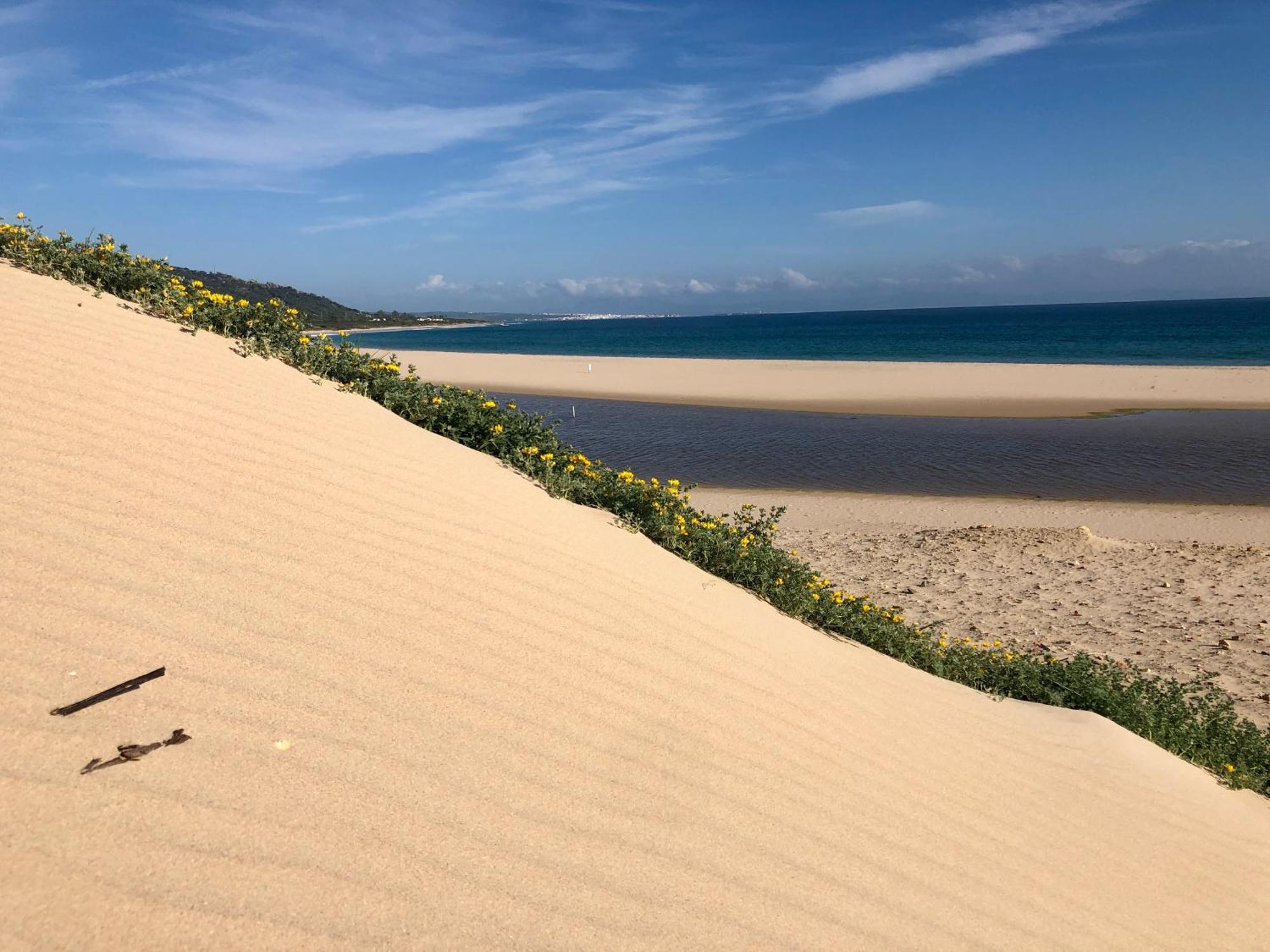 Beautiful Coastal Retreat In Punta Paloma Tarifa Apartment ภายนอก รูปภาพ