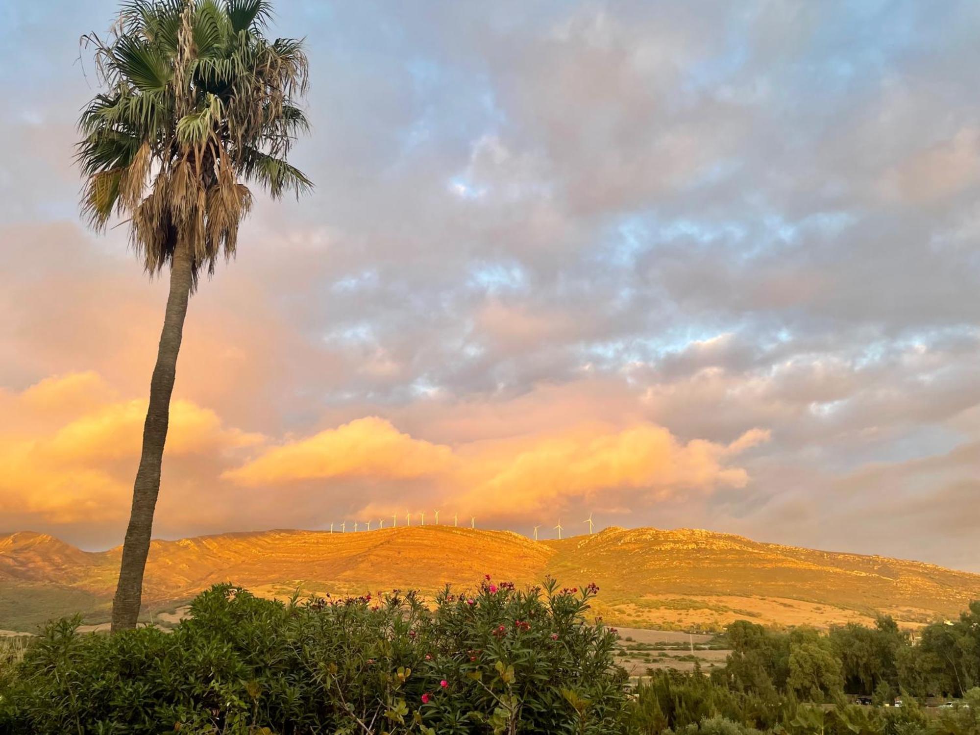 Beautiful Coastal Retreat In Punta Paloma Tarifa Apartment ภายนอก รูปภาพ